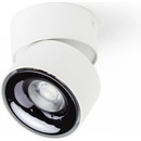 Rendl R14425