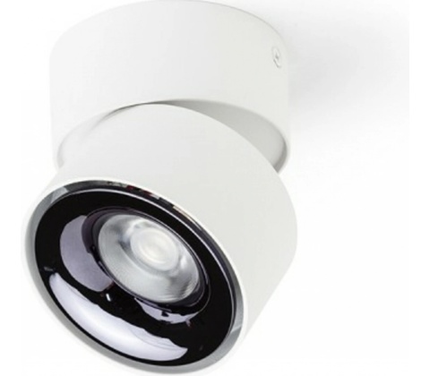 Rendl R14425