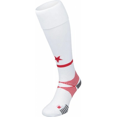Puma TEAM SKSND SOCKS