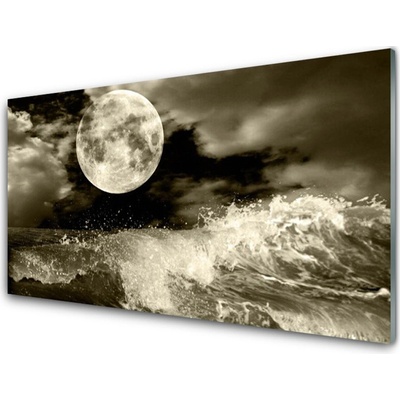 Obraz na skle Noc mesiac príroda 100x50 cm