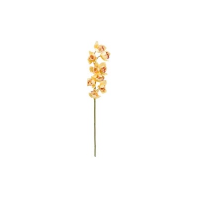 Orchidej větvička, žlutá, 90 cm