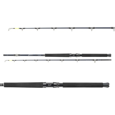 Daiwa Tanacom Ultra Deep 2,1m 400-1000g 2 díly