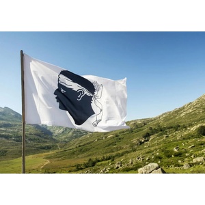 Bluebird Puzzle - Puzzle Drapeau de la Corse - 1 000 piese