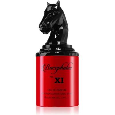 Armaf Bucephalus XI parfumovaná voda pánska 100 ml