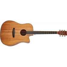 Tanglewood TUN 5 CE
