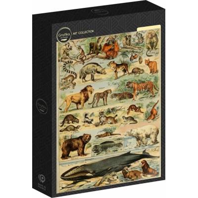 Grafika Ilustrace z knihy Larousse pour Tous Savci 1000 dílků