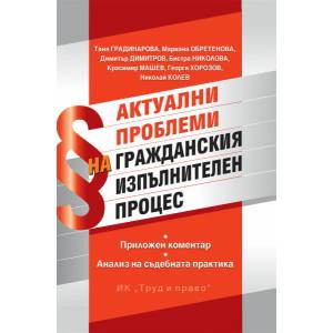 Актуални проблеми на гражданския изпълнителен процес (ISBN: 9789546083081)