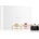 Beauty Discovery Box Exclusive Notino The Ferragamo Edit подаръчен комплект за жени woman