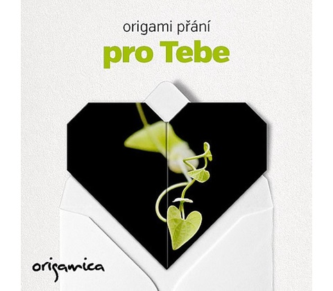 Origami přání - Pro Tebe