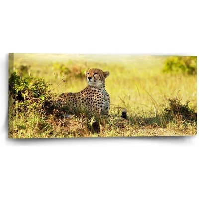 Sablio Obraz Gepard - 110x50 cm