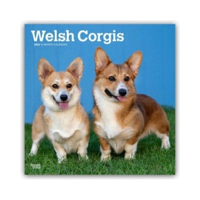 Browntrout Verlags GmbH Welsh Corgis - Welsh Corgi 2026 - 16-Monatskalender | BrownTrout Publishers Inc