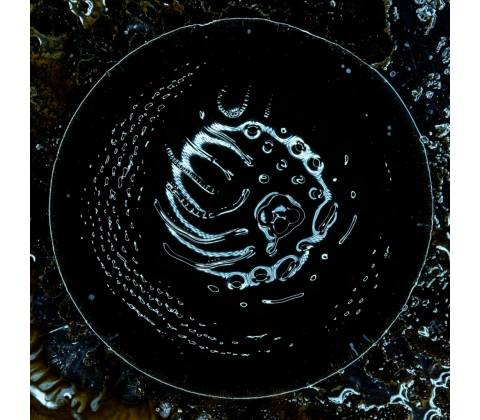 Stonus - Stonus LP