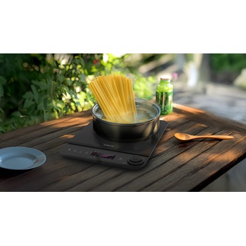 Salente InductPro1