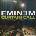 Eminem - Curtain Call (2 LP) (0602498878965)