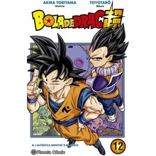 Bola De Drac Super 12