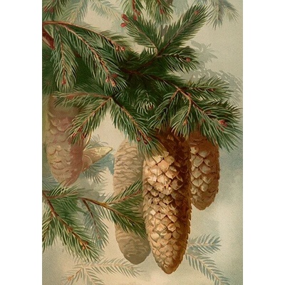 Přání Christmas Forest Conifers
