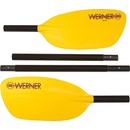 Werner Rio
