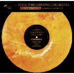 Multiland Royal Philharmonic Orchestra: Remember The 70s - Vinyl (LP) (044985)