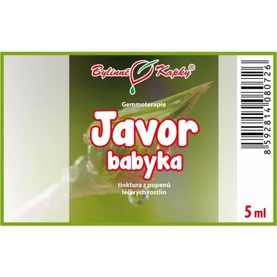 Javor poľný púčiky gemmoterapie 5 ml