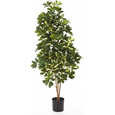 Umelý strom Šeflera prírodné kmene deluxe, 110cm
