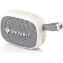 FiiO Snowsky Anywhere