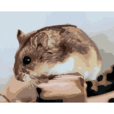 Malování podle čísel Křeček na dřevě