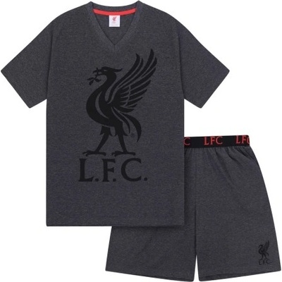 FC Liverpool pánské pyžamo krátké šedé