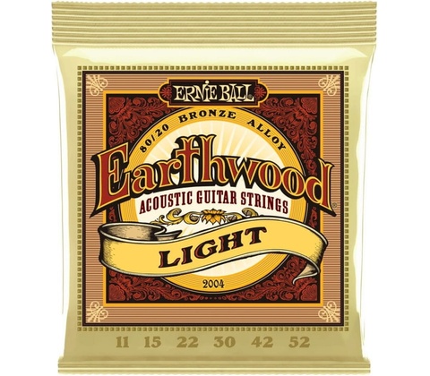 Ernie Ball 2004