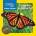 Caterpillar to Butterfly | Catherine D. Hughes
