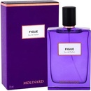 Molinard Les Elements Collection: Figue parfumovaná voda unisex 75 ml
