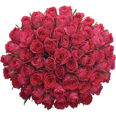 Kytice 55 vínových růží MADAM CERISE 60cm