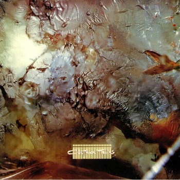 Cocteau Twins - Head Over Heels (180g) (Reissue) (Remastered) (LP) (652637370911)