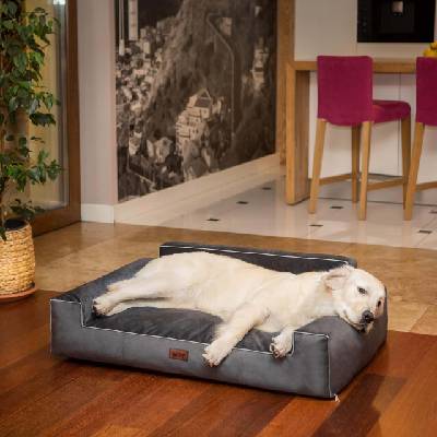 HobbyDog Pelech Glamour - Tmavě šedý Fancy VELIKOST: Pro malého psa (vel. L) - 78 x 53 cm