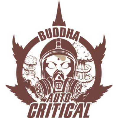 Buddha Seeds Critical AUTO semienka neobsahujú THC 3 ks