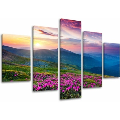 Obraz kvitnúcej lúky v slovenských horách na plátne — 5-dielny set - 100x80 cm
