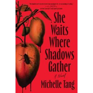 She Waits Where Shadows Gather | Michelle Tang (ISBN: 9781464251047)