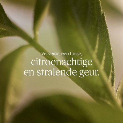 L’Occitane tekuté mydlo na ruky náhradná náplň shea verbena 500 ml