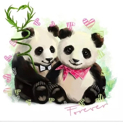 Панди 19/19 см