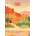 Hachette - Puzzle Escape Morocco - 500 piese