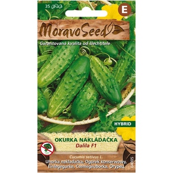 Semená Uhorka DALILA F1 - hybrid, 35 s