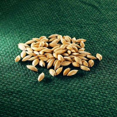 AROS lesknice kanárská