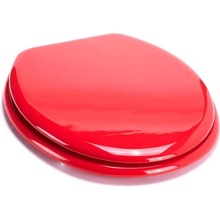 MSV CLEO 140341