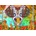 Bluebird Puzzle - Puzzle Colorful Elephant 1000 - 1 000 piese