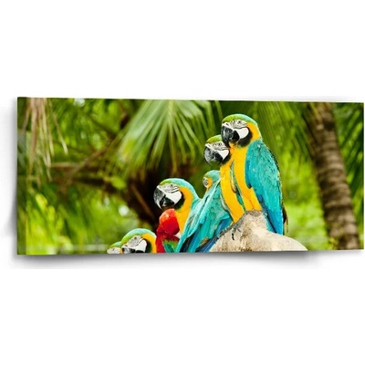 Sablio Obraz Papagáje na konári - 110x50 cm