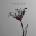 Fixation - More Subtle Than Death CD