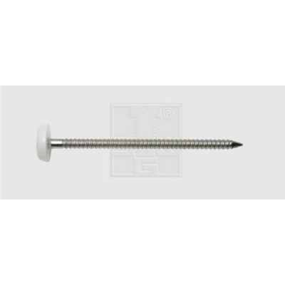 SWG 9841255030 klince s plastovou hlavou (Ø x d) 2.5 mm x 50 mm nerezová ocel A4 80 ks
