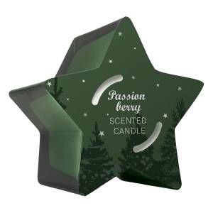 SOLVENT Import dod. PL Свещ Q Home Star green 125 г