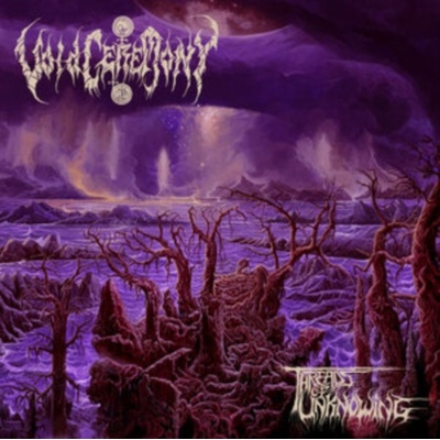 Threads of unknowing - Voidceremony LP