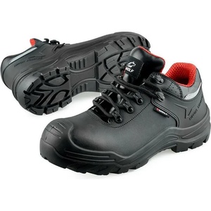 B-Wolf 500600