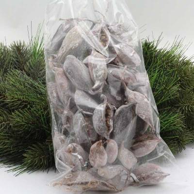 Brachiton - stone washed 250g - SU0891